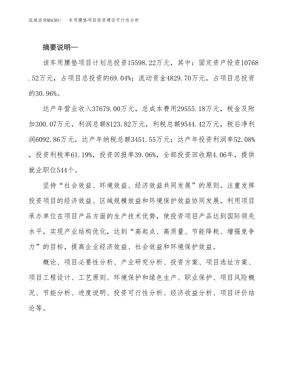 车用腰垫项目投资建设可行性分析.docx_第2页