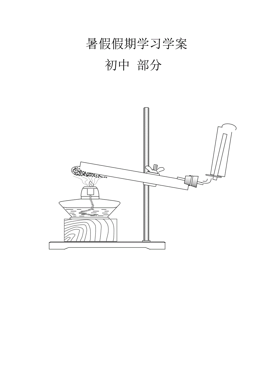 暑假假期学习学案(初中)._第1页