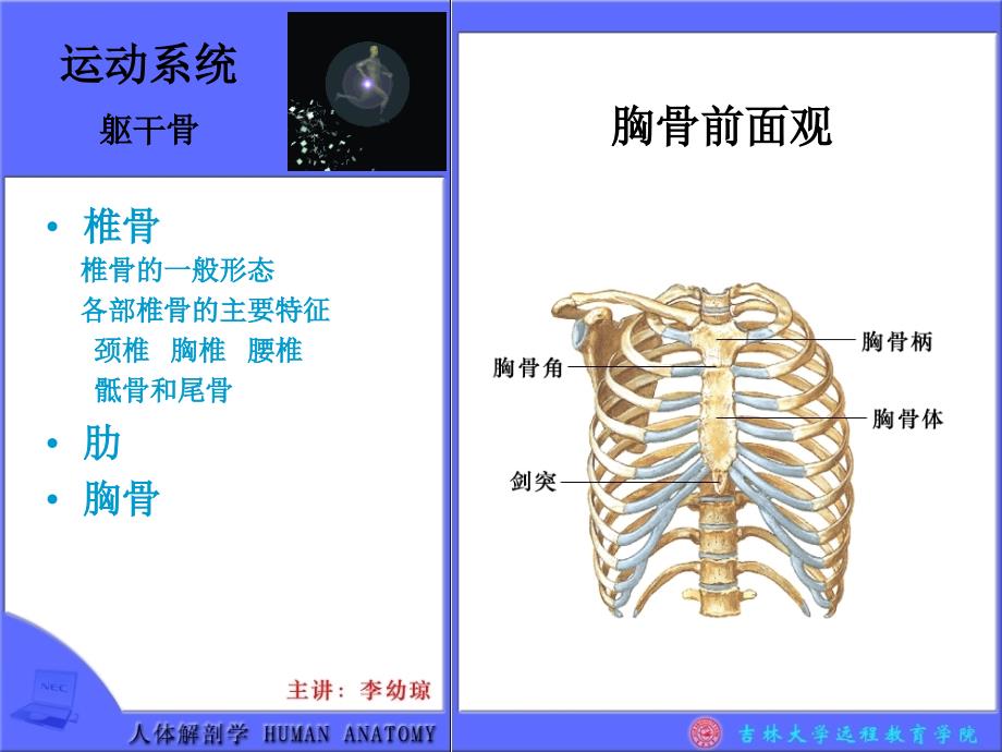 运动系统颅骨脑颅骨面颅骨颅的整体观颅底内面观颅底外面观侧面观 bb_第1页