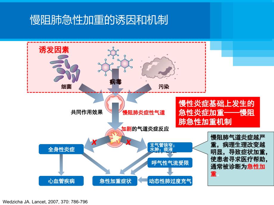 布地奈德的药理学优势._第4页