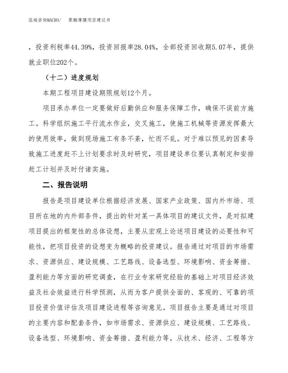 聚酯薄膜项目建议书（可研报告）.docx_第5页