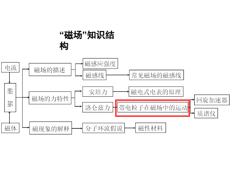 磁场对运动电荷的作用(专题课)综述_第1页