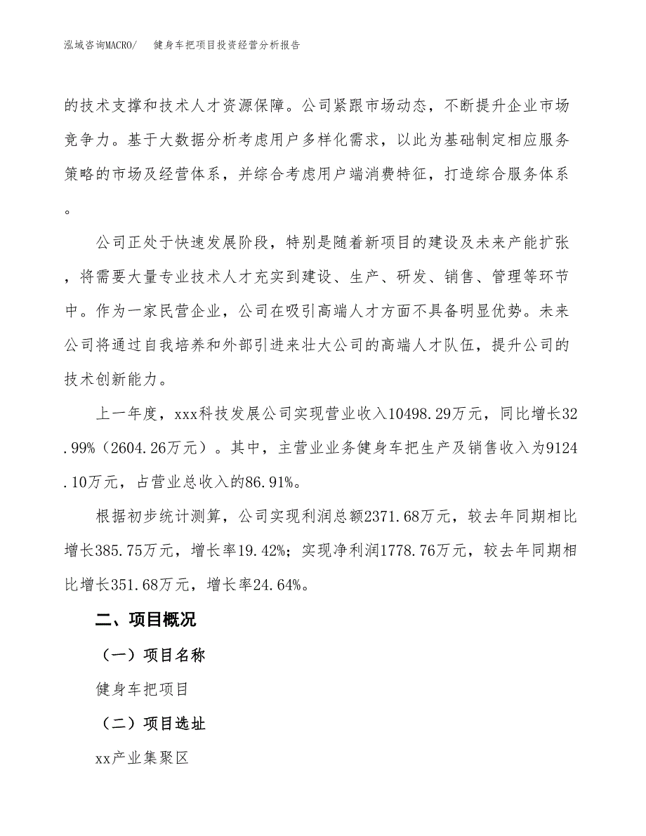 健身车把项目投资经营分析报告模板.docx_第2页