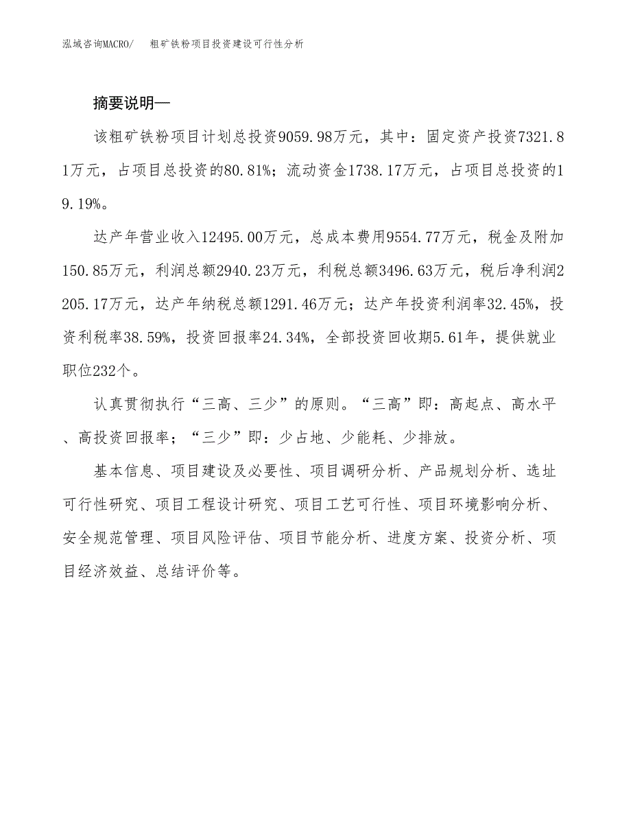 粗矿铁粉项目投资建设可行性分析.docx_第2页