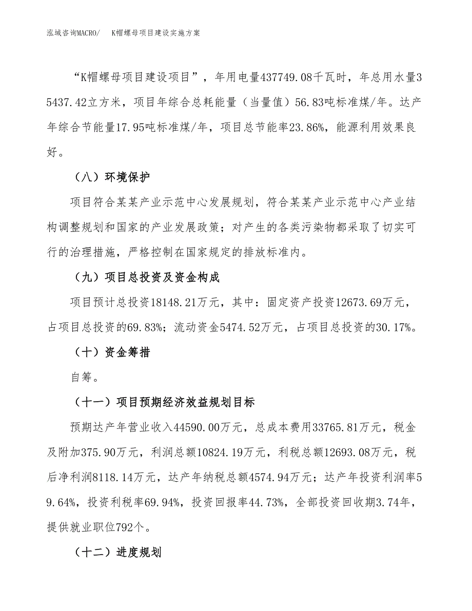 K帽螺母项目建设实施方案（模板）_第4页