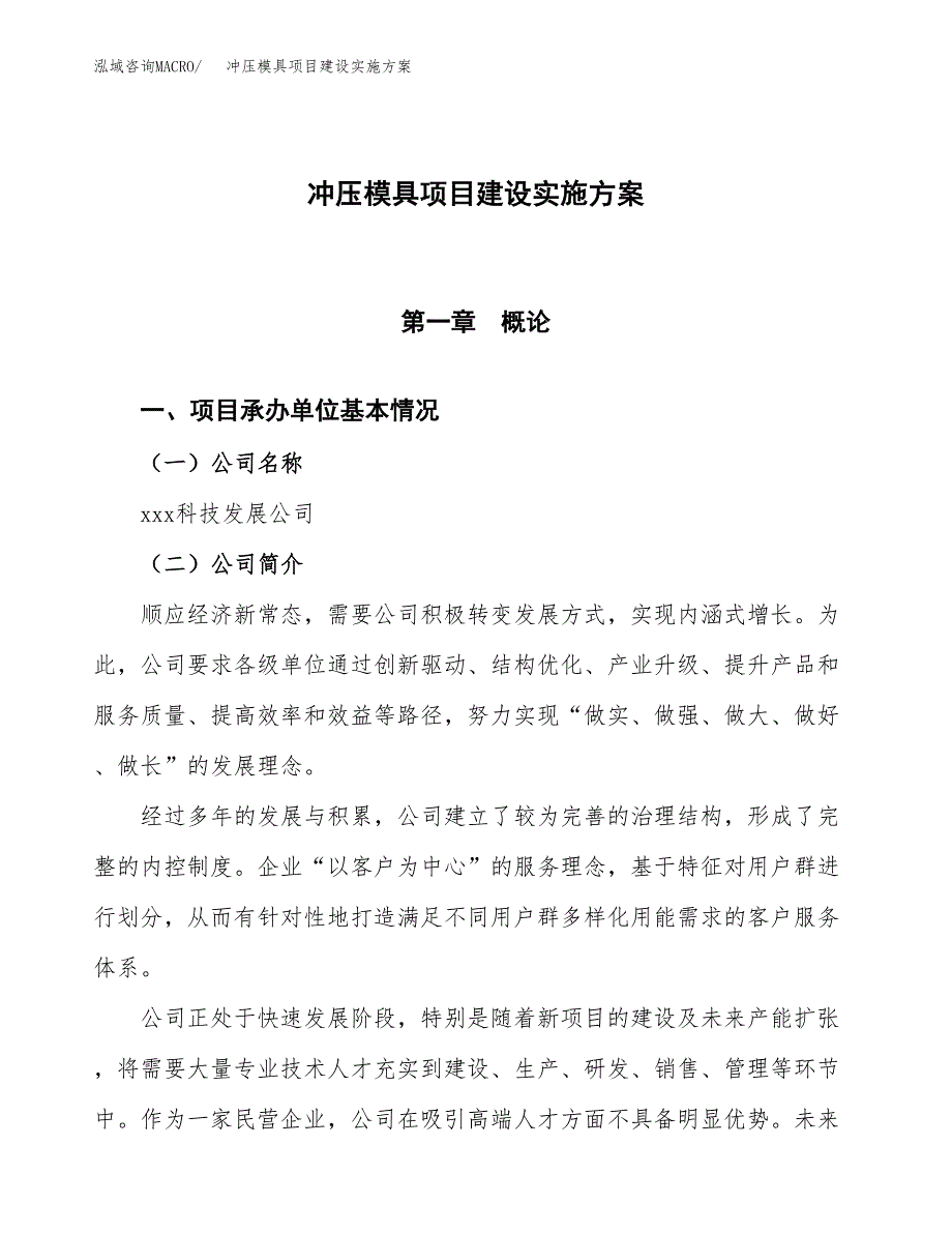 冲压模具项目建设实施方案（模板）_第1页