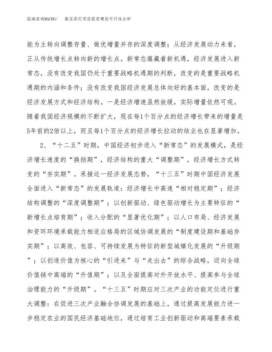 高压汞灯项目投资建设可行性分析.docx_第5页