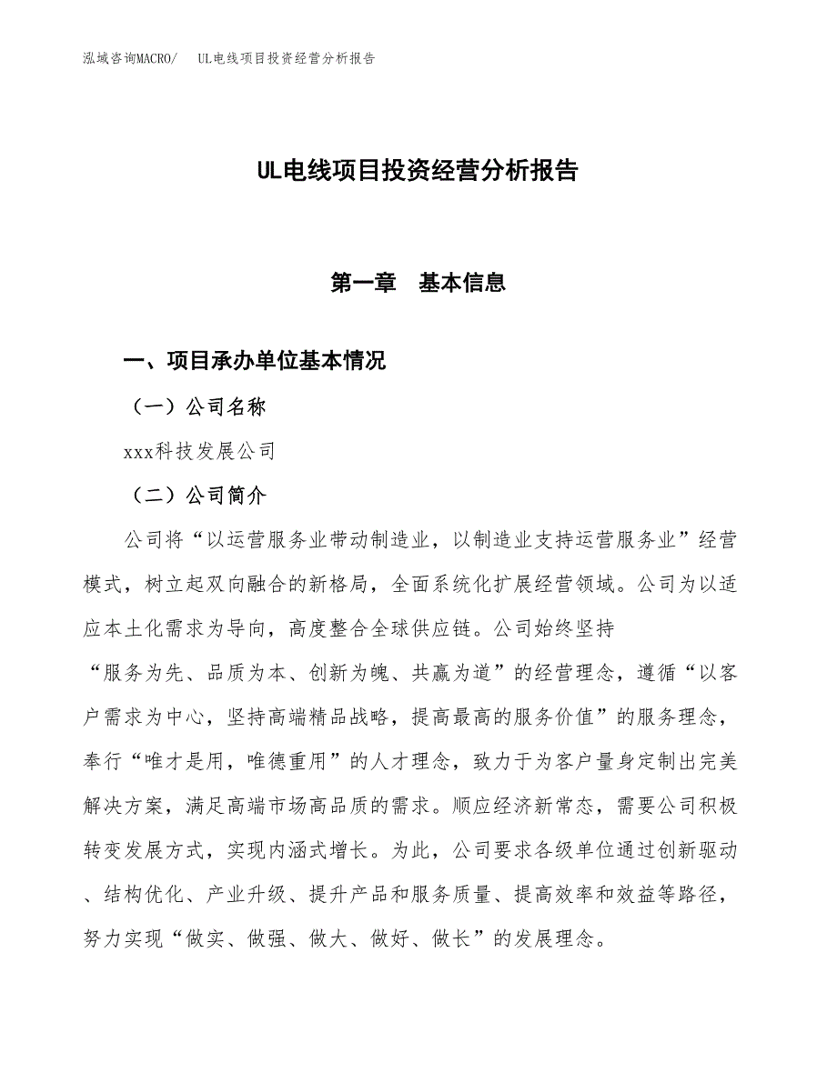 UL电线项目投资经营分析报告模板.docx_第1页