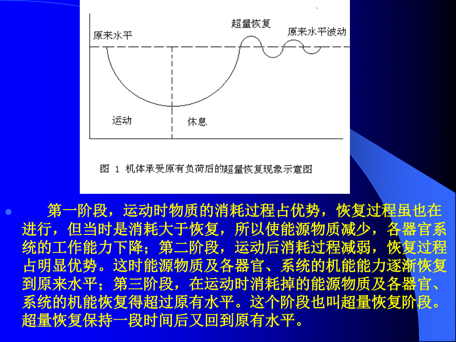 对田径运动训练中的超量恢复讲解_第4页