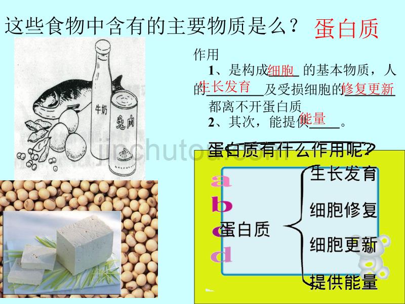 新人教版七年级生物下册 第四单元 生物圈中的人 第二章_人体的营养 复习课件综述_第5页