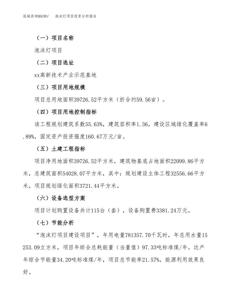 泡沫灯项目投资分析报告（总投资12000万元）（60亩）_第5页