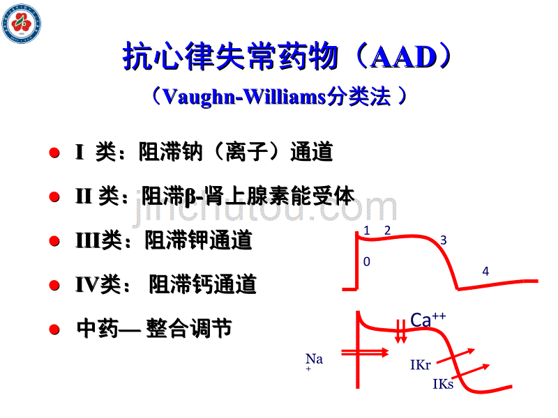 抗律-调律 心律失常药物治疗新策略 2015-05_第2页