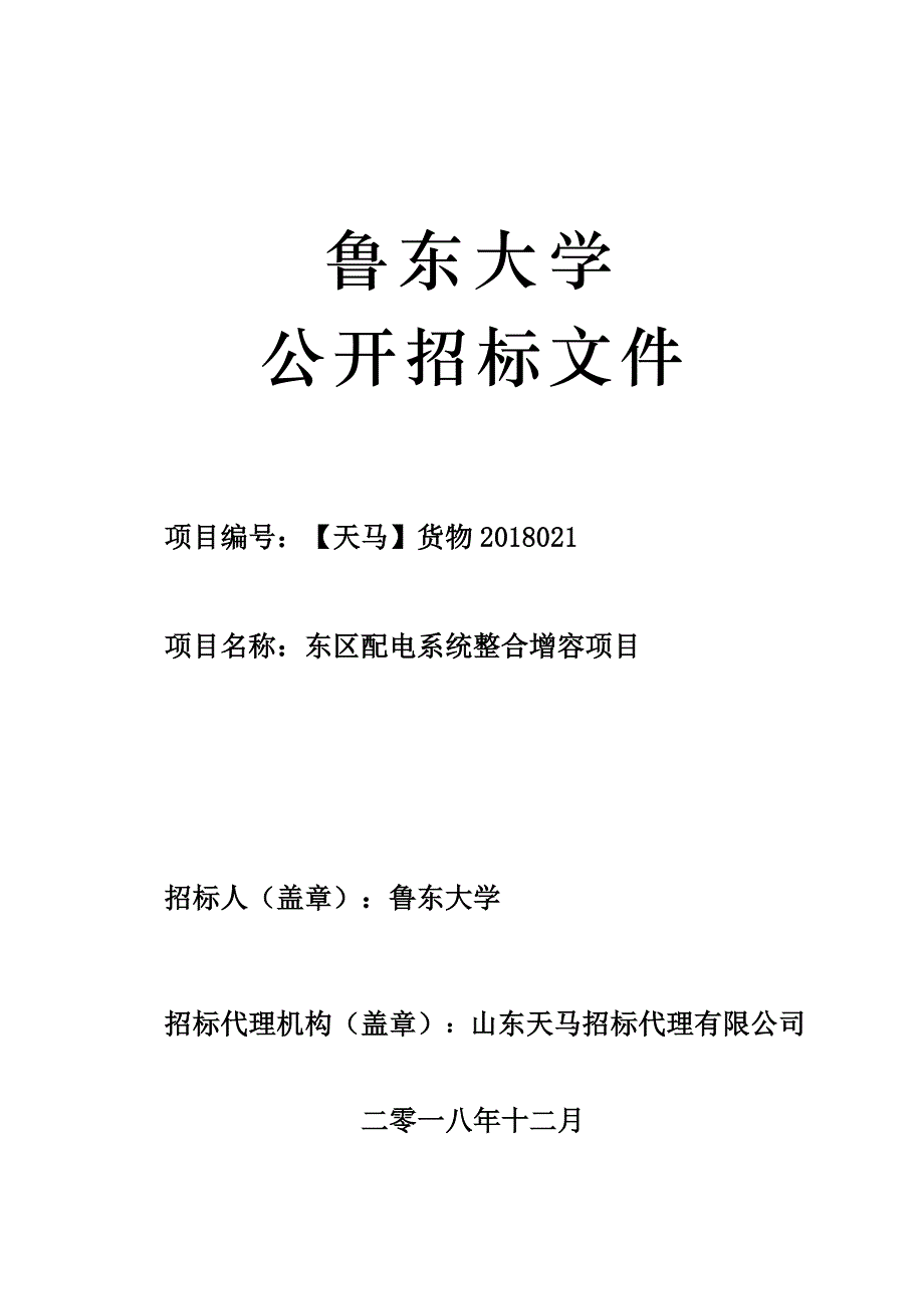 东区配电系统整合增容项目公开招标文件_第1页