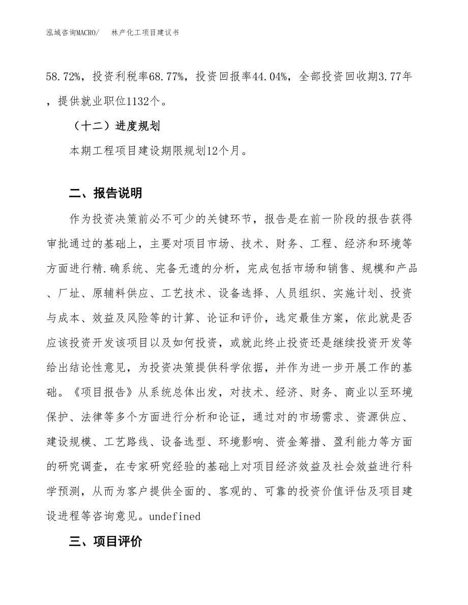 林产化工项目建议书（可研报告）.docx_第5页