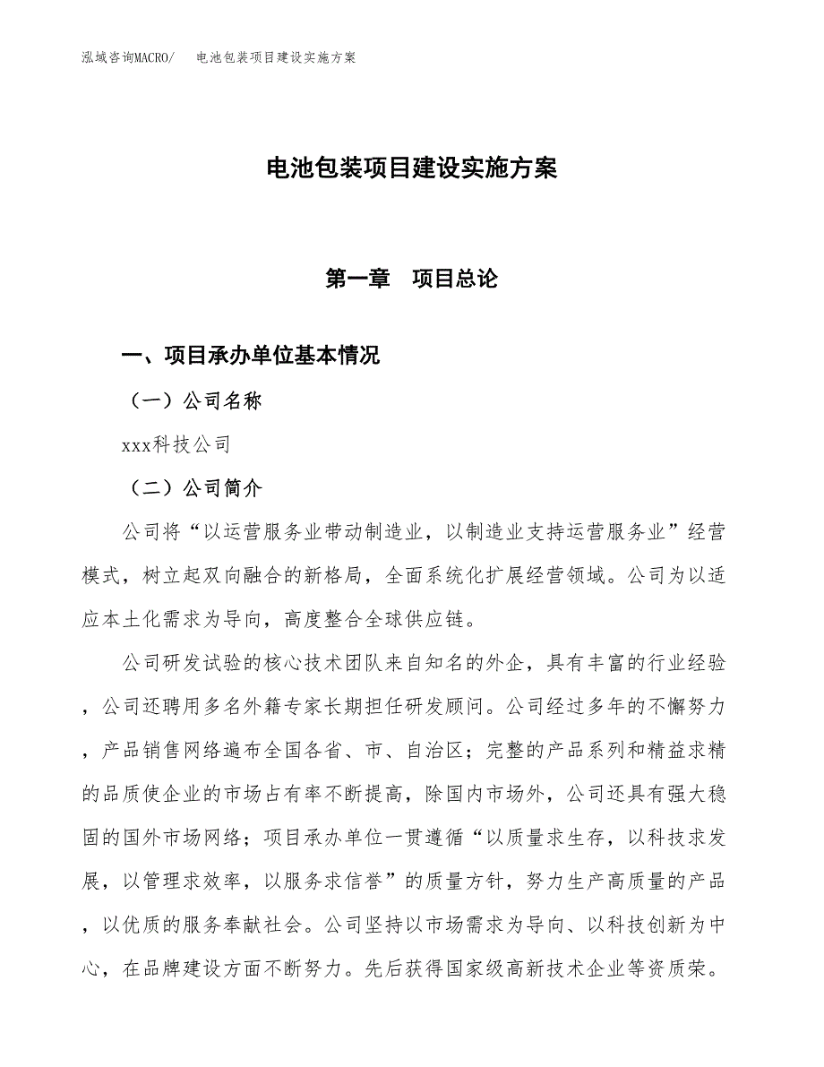 电池包装项目建设实施方案（模板）_第1页