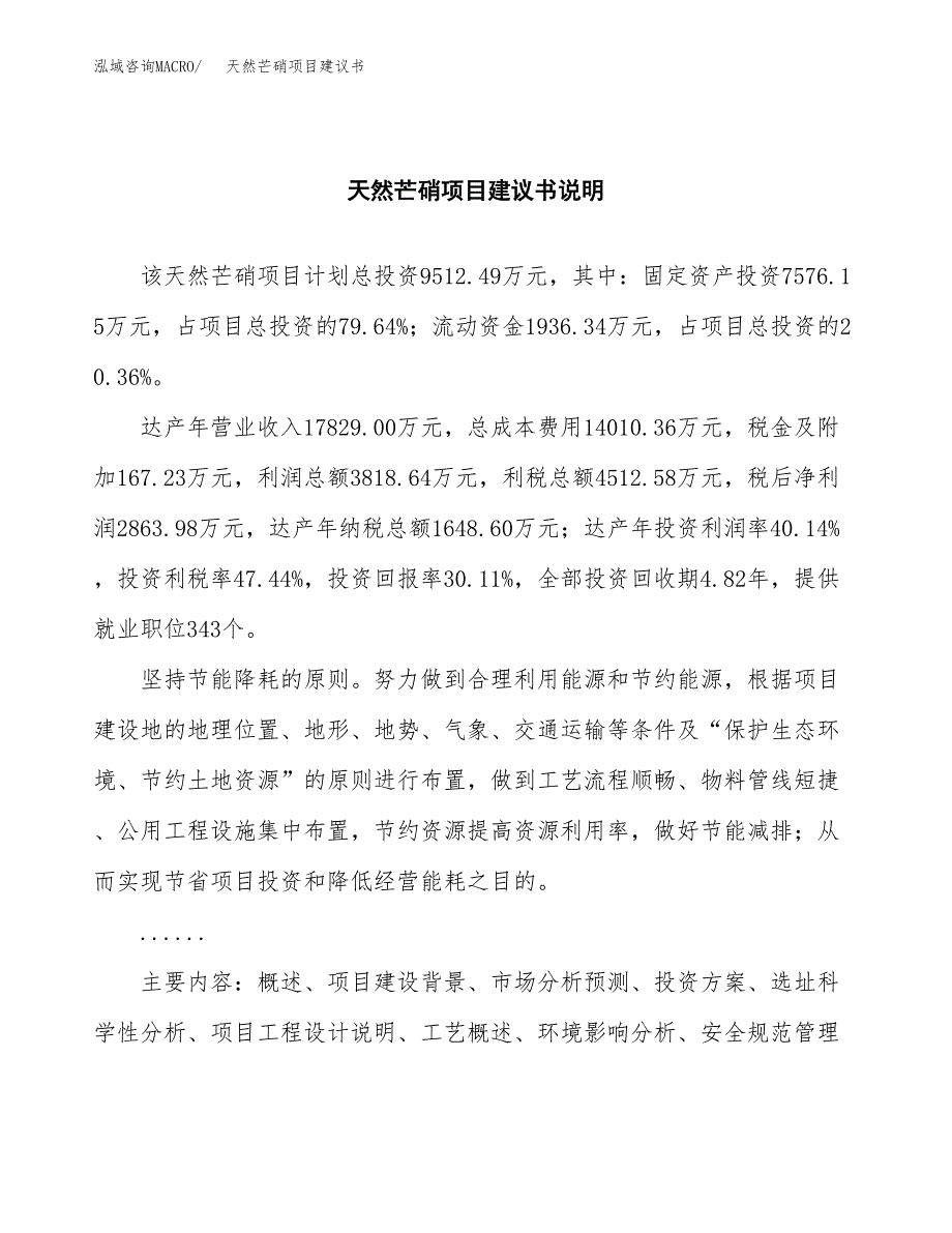 天然芒硝项目建议书（可研报告）.docx_第2页