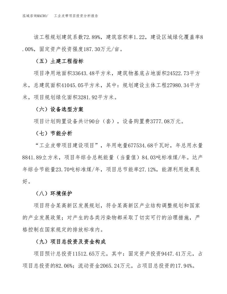 工业皮带项目投资分析报告（总投资12000万元）（50亩）_第5页