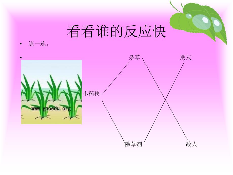 小稻秧脱险记ppt综述_第2页