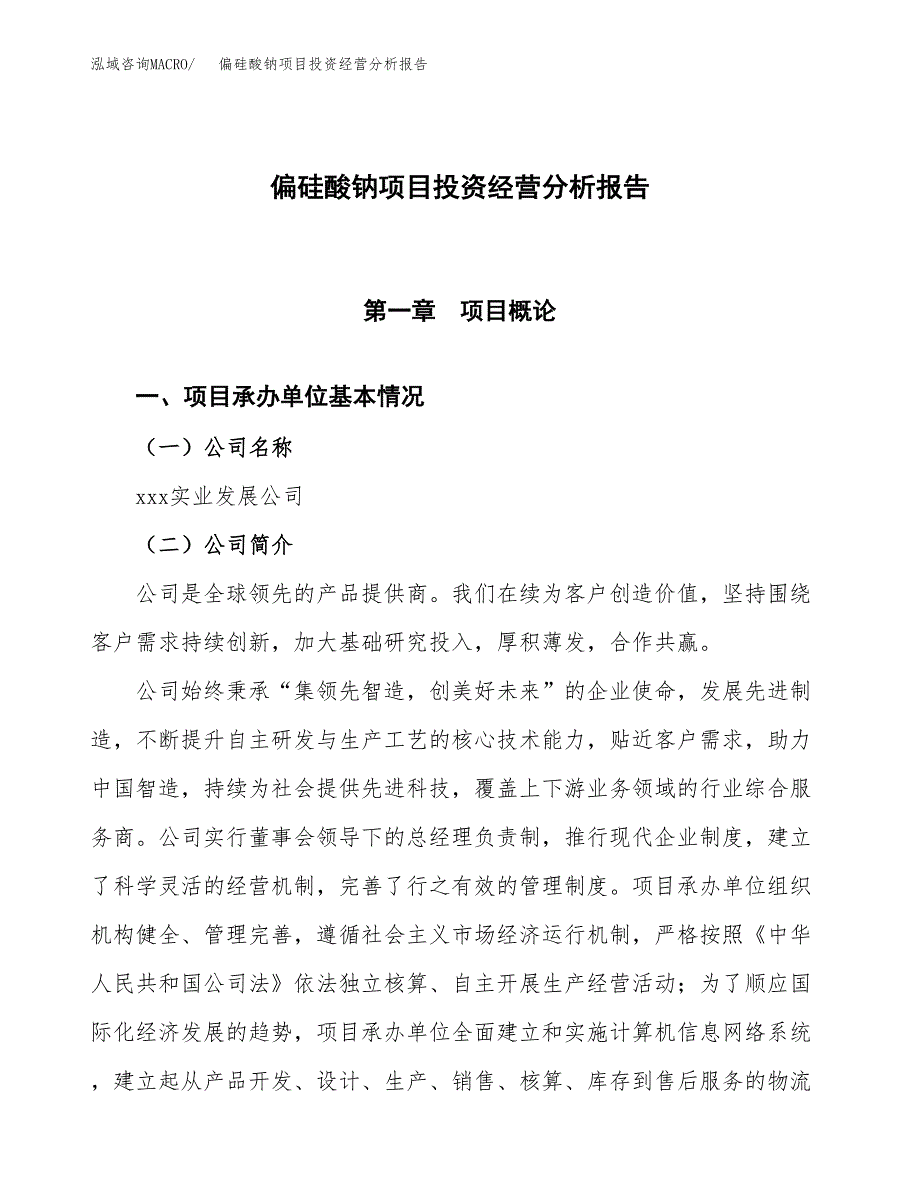 偏硅酸钠项目投资经营分析报告模板.docx_第1页