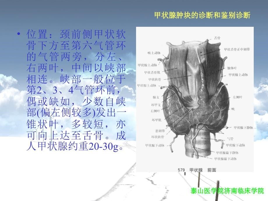 甲状腺肿块的诊断和鉴别诊断综述_第5页