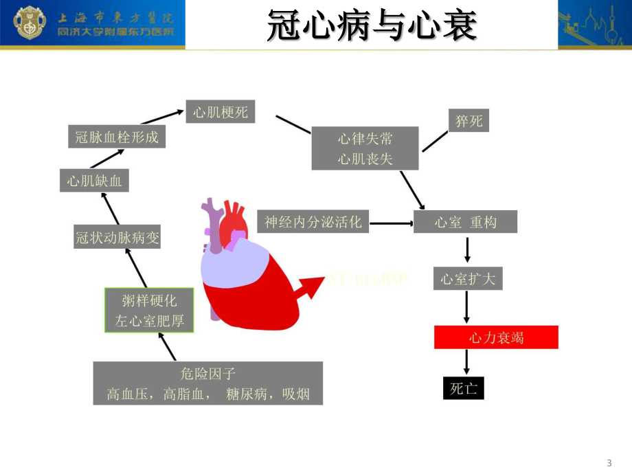 2016年心血管病指标应用(临检中心)-范列英_第3页