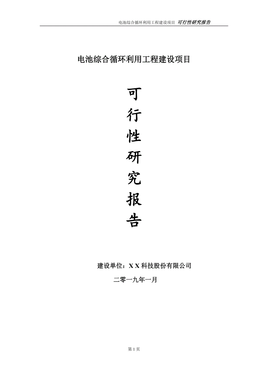 电池综合循环利用项目可行性研究报告（建议书模板）_第1页