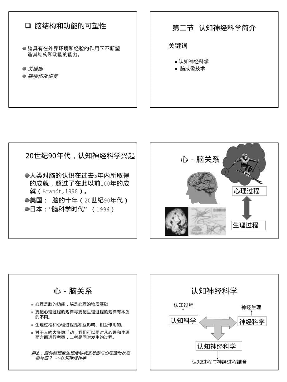 北师大认知心理学第二讲_脑与认知_第5页