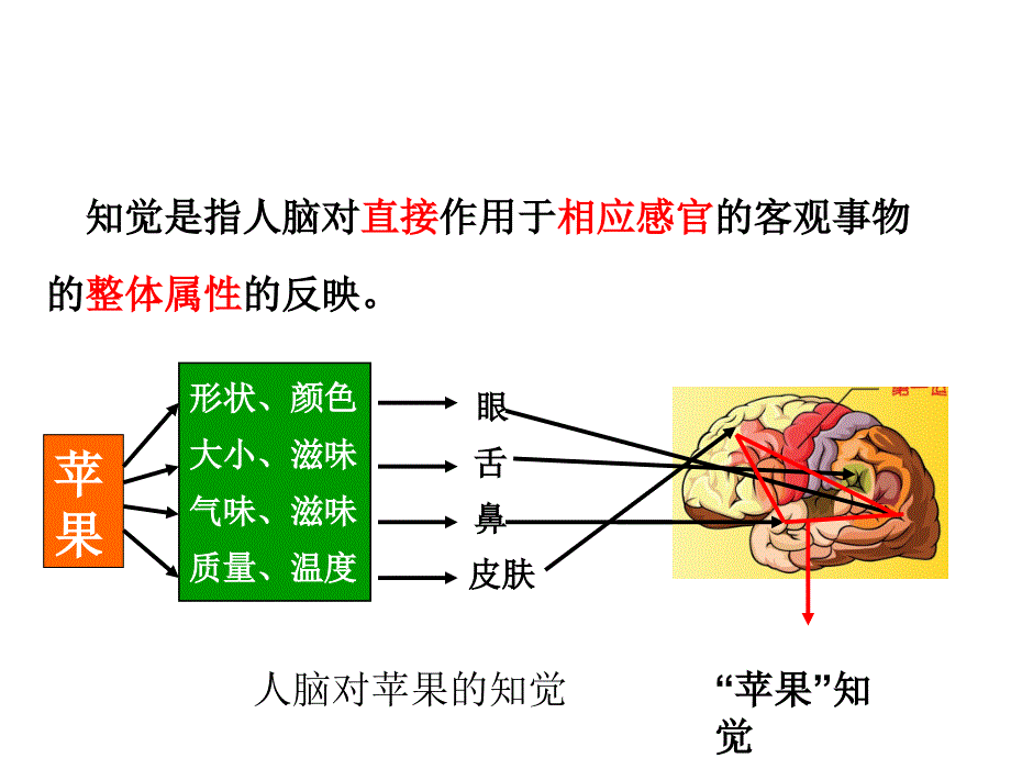 幼儿感知觉._第4页