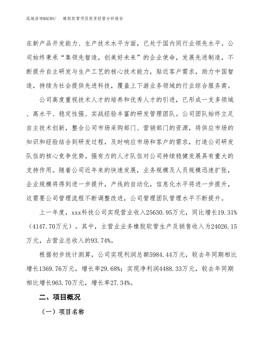 橡胶软管项目投资经营分析报告模板.docx_第2页