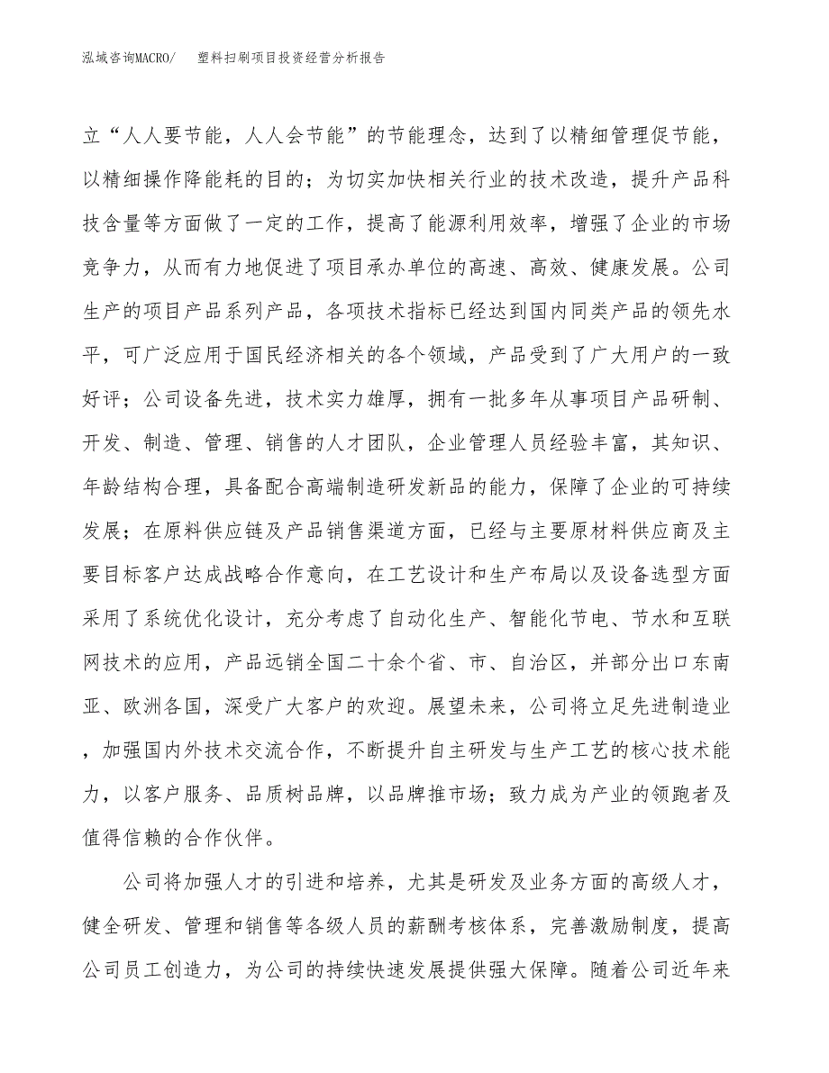 塑料扫刷项目投资经营分析报告模板.docx_第2页