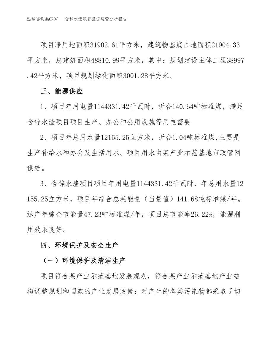 含锌水渣项目投资运营分析报告参考模板.docx_第5页