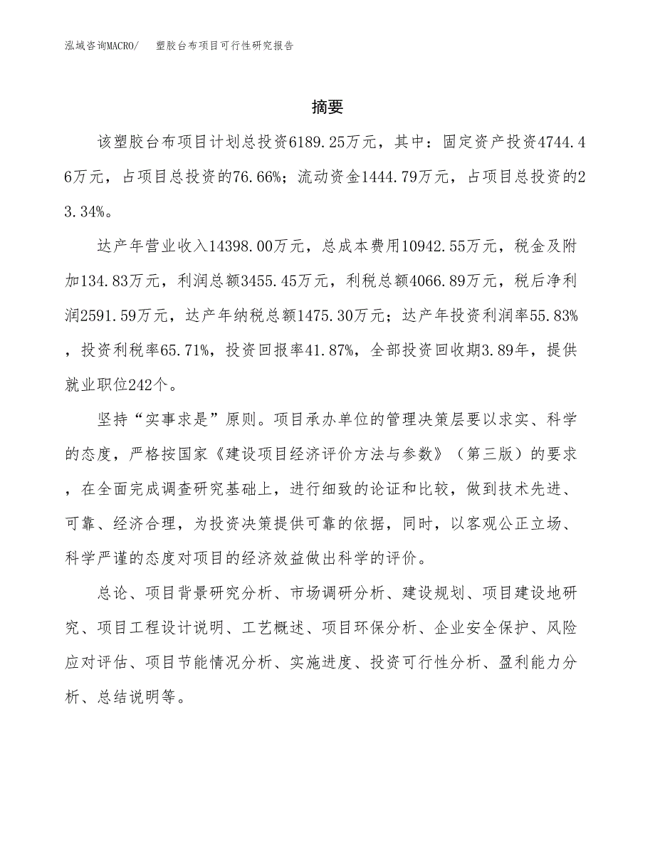 塑胶台布项目可行性研究报告汇报设计.docx_第2页