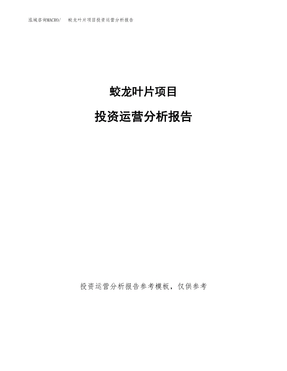 蛟龙叶片项目投资运营分析报告参考模板.docx_第1页