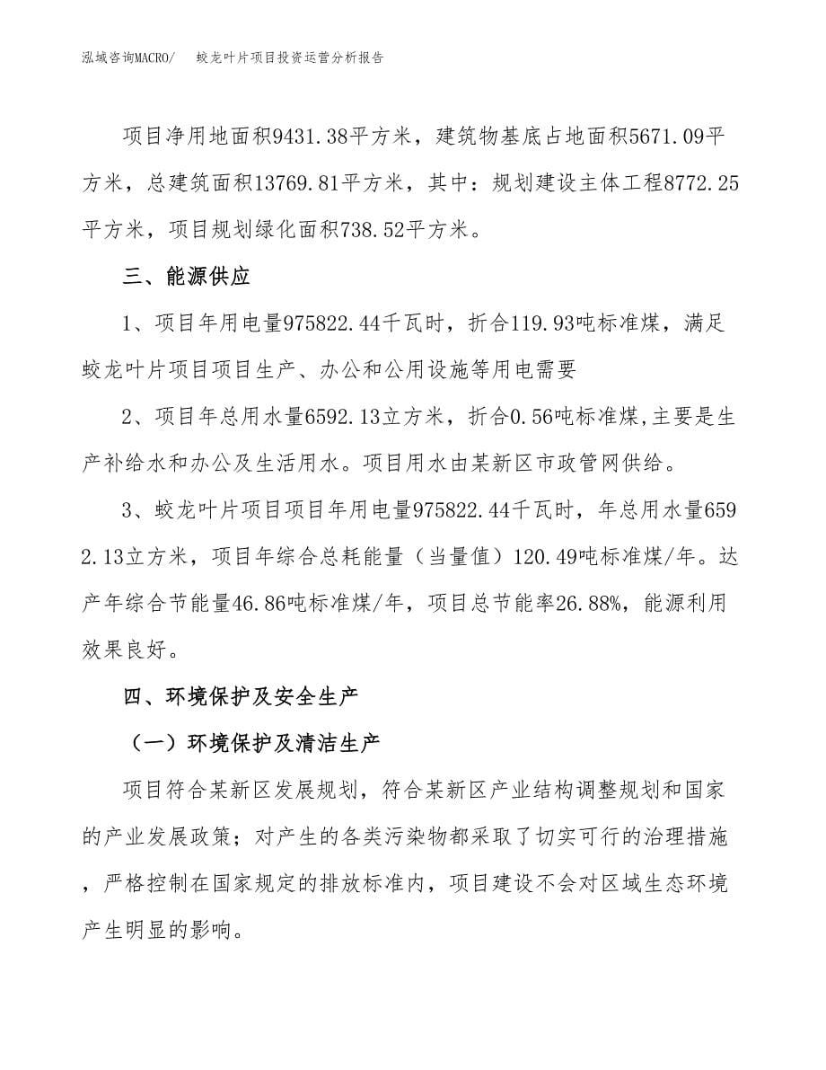 蛟龙叶片项目投资运营分析报告参考模板.docx_第5页