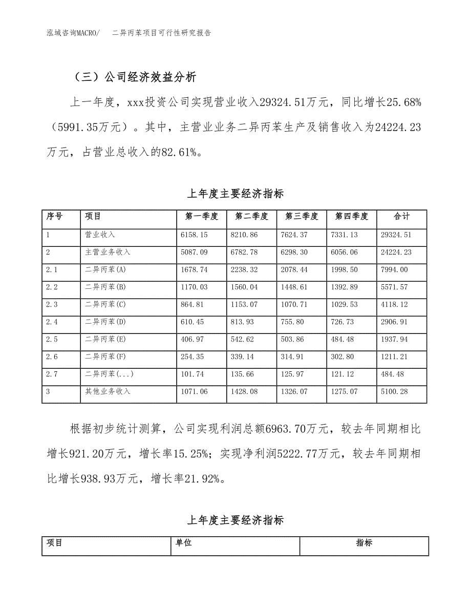 二异丙苯项目可行性研究报告汇报设计.docx_第5页