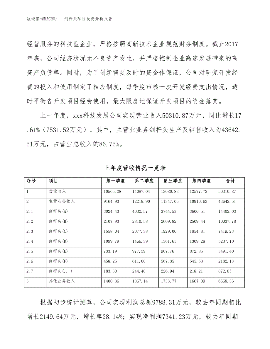 剑杆头项目投资分析报告（总投资21000万元）（86亩）_第3页