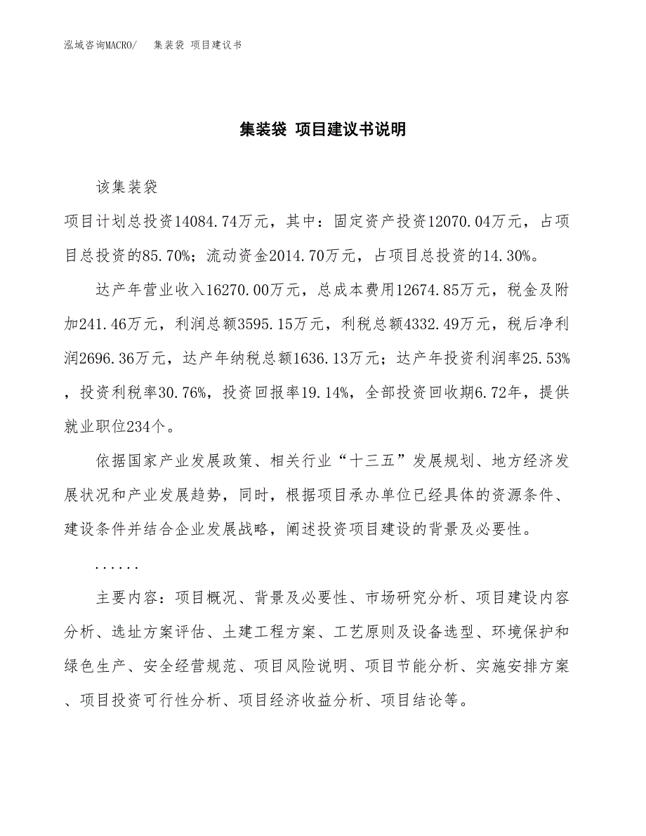 集装袋 项目建议书（可研报告）.docx_第2页