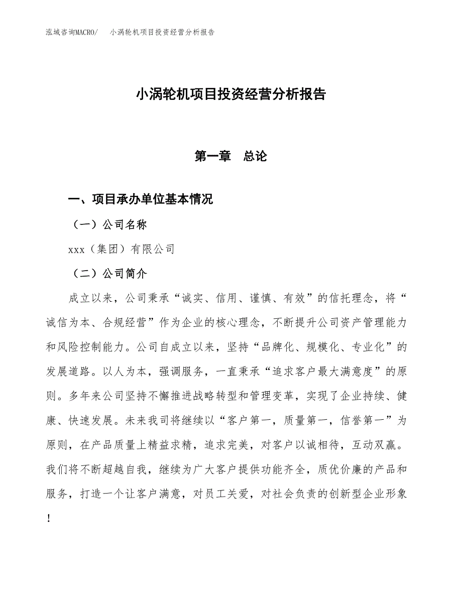 小涡轮机项目投资经营分析报告模板.docx_第1页