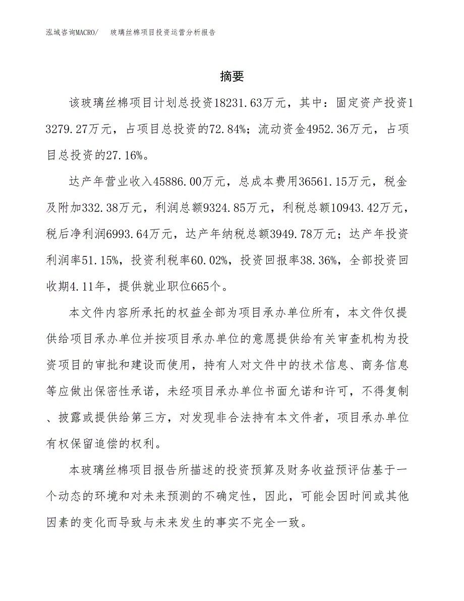 玻璃丝棉项目投资运营分析报告参考模板.docx_第2页