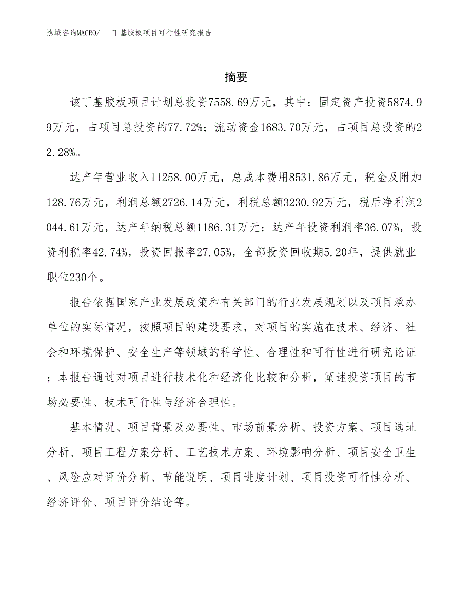 丁基胶板项目可行性研究报告汇报设计.docx_第2页