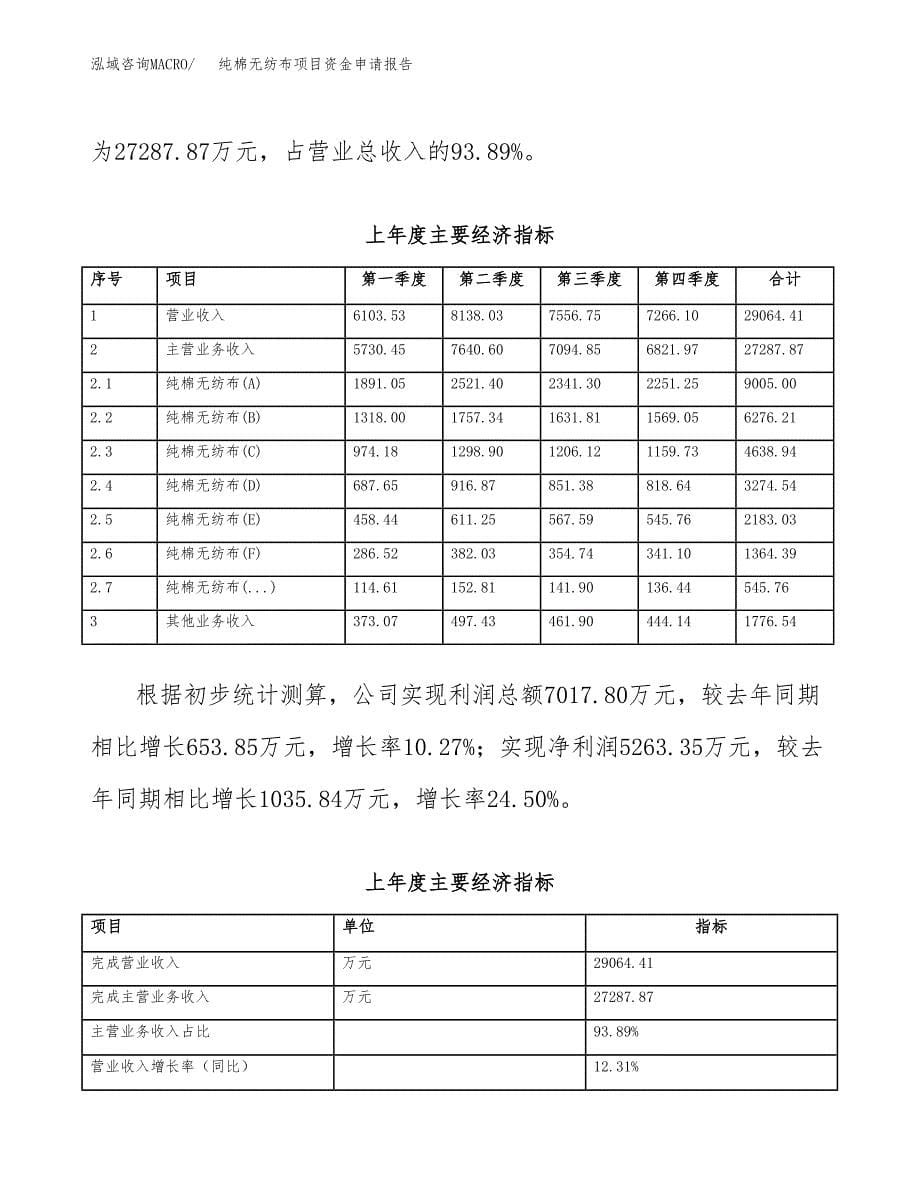 纯棉无纺布项目资金申请报告_第5页