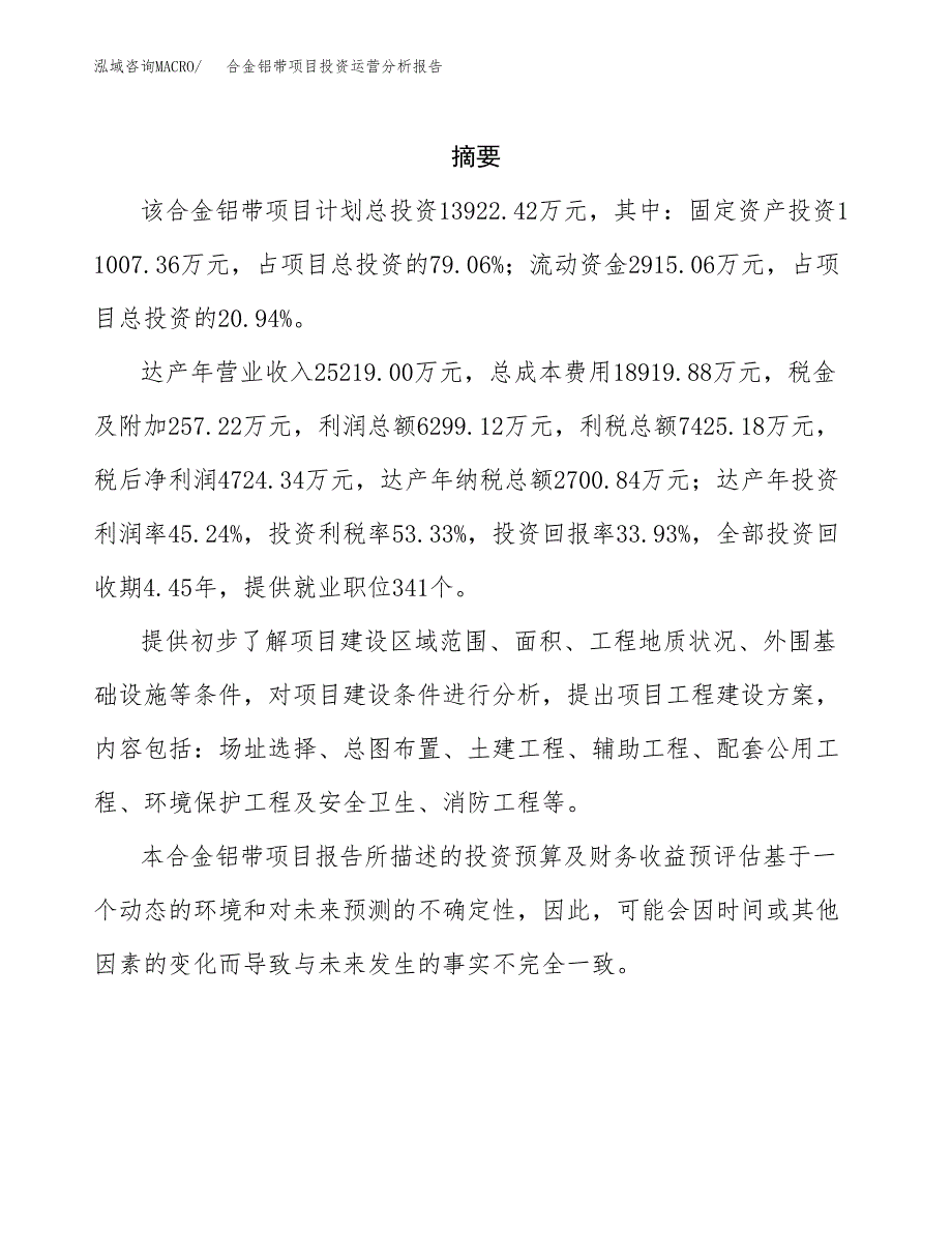 合金铝带项目投资运营分析报告参考模板.docx_第2页