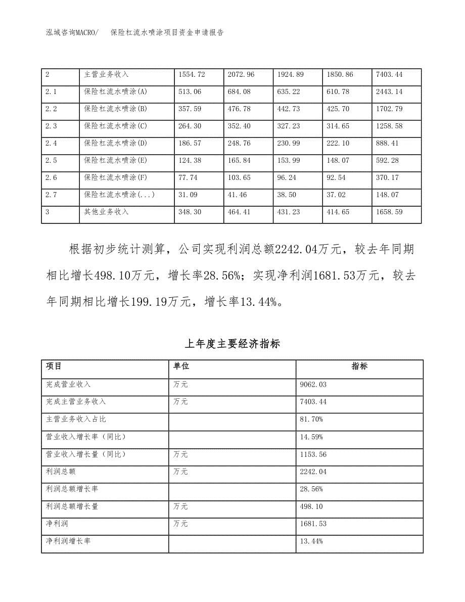 保险杠流水喷涂项目资金申请报告_第5页