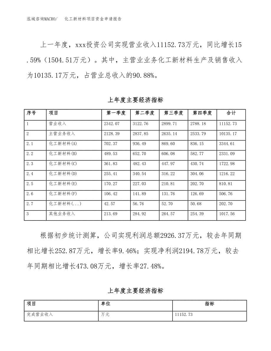 化工新材料项目资金申请报告_第5页