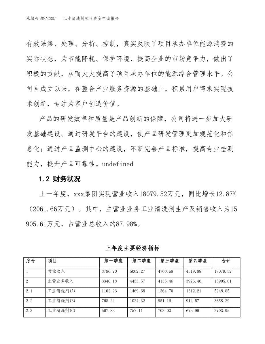 工业清洗剂项目资金申请报告_第5页