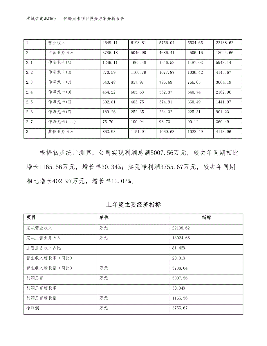 伸峰龙卡项目投资方案分析报告.docx_第3页