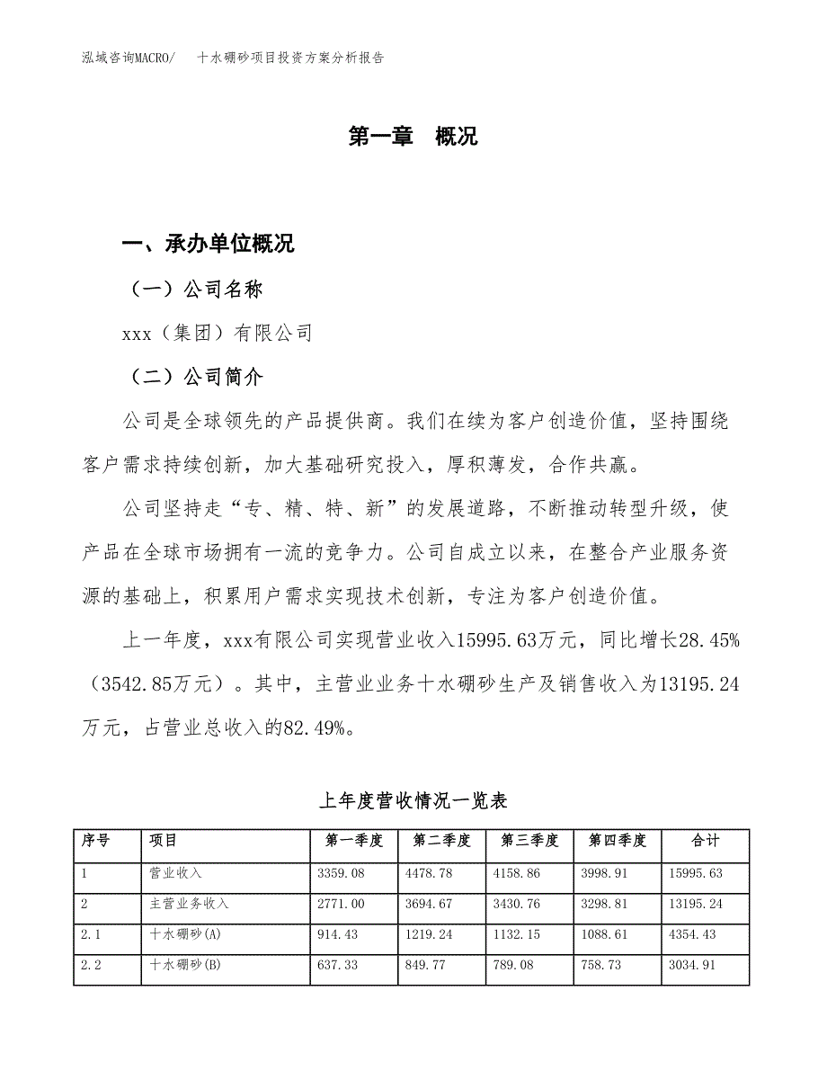 十水硼砂项目投资方案分析报告.docx_第1页