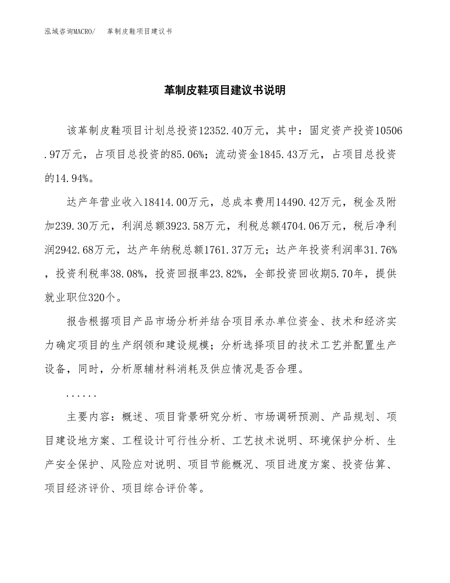 革制皮鞋项目建议书（可研报告）.docx_第2页