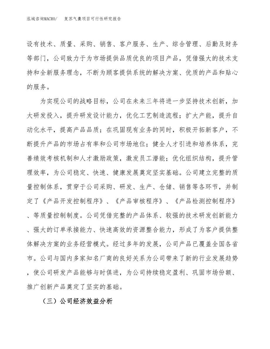 复苏气囊项目可行性研究报告汇报设计.docx_第5页