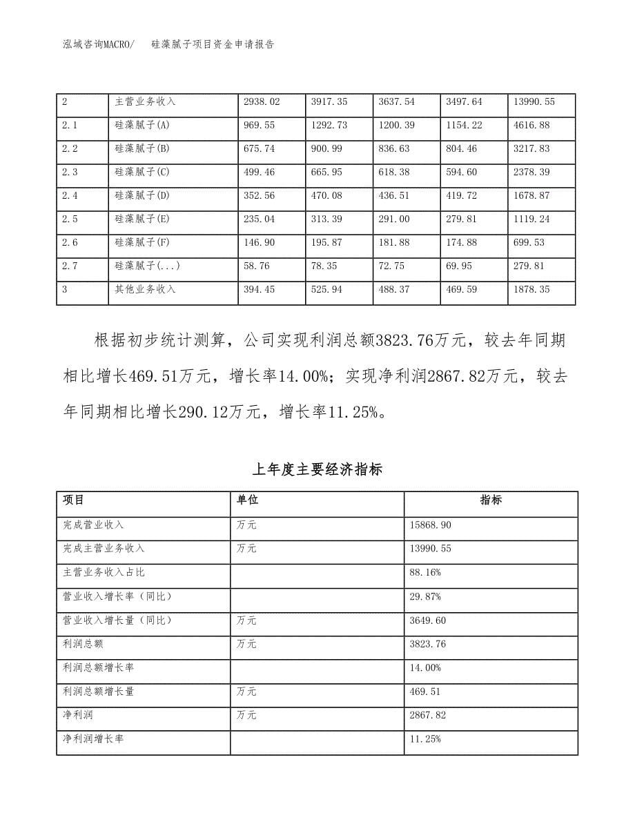 硅藻腻子项目资金申请报告_第5页